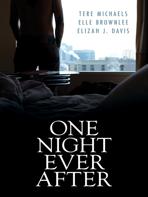 Title details for One Night Ever After by Tere Michaels - Wait list